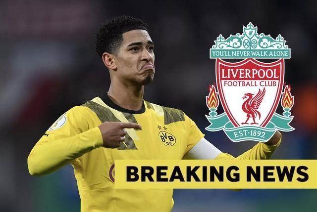 少信息偏差 少信息偏差